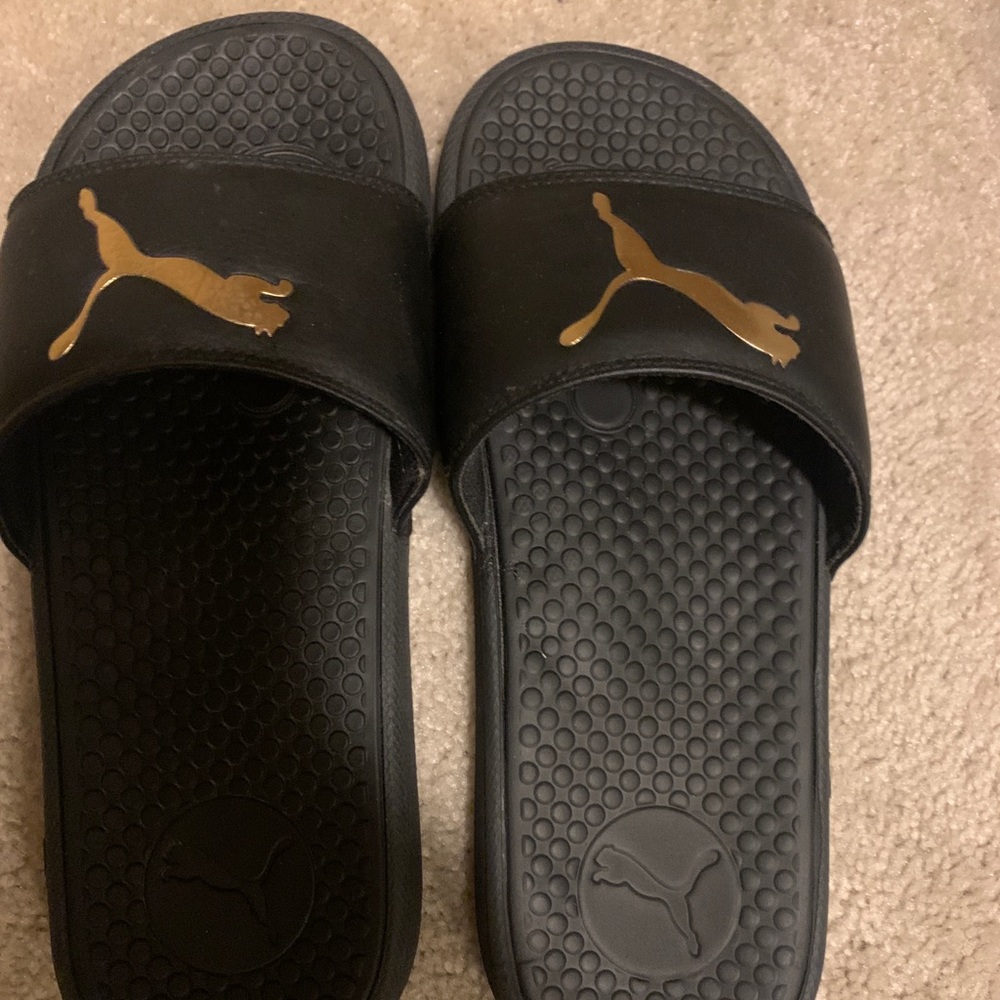 Puma slides